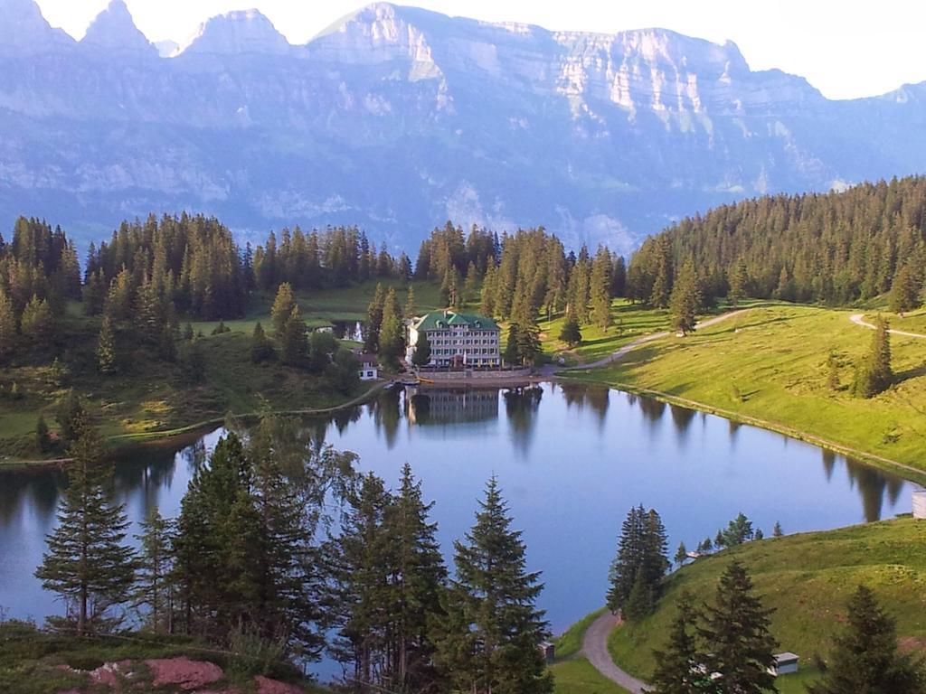 Tannenboden - Steinbock Hotel