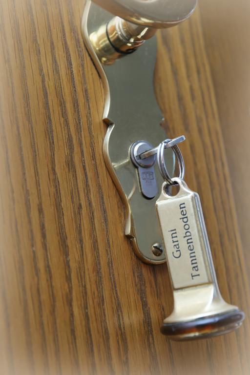 Tannenboden - Steinbock Hotel *